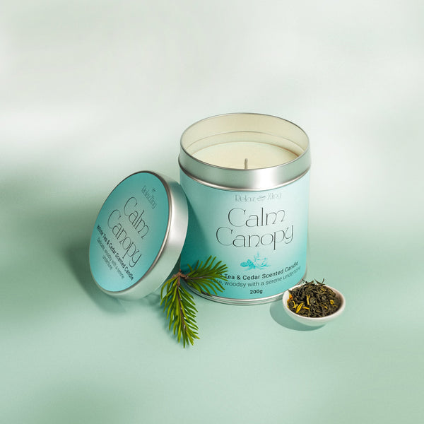 Calm Canopy - White tea & Cedar Candle